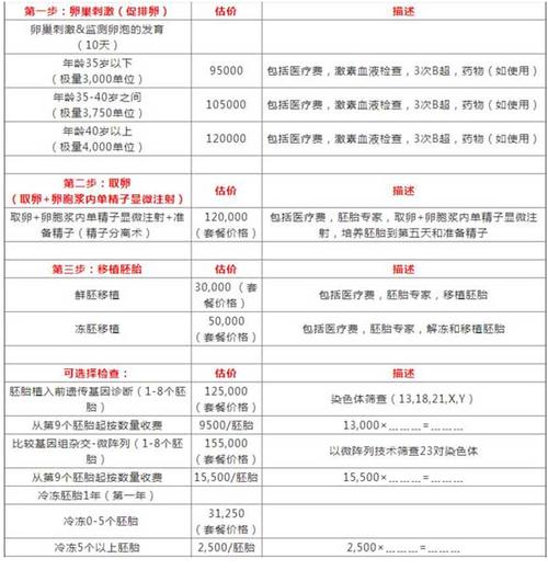 代孕要多少费用呀